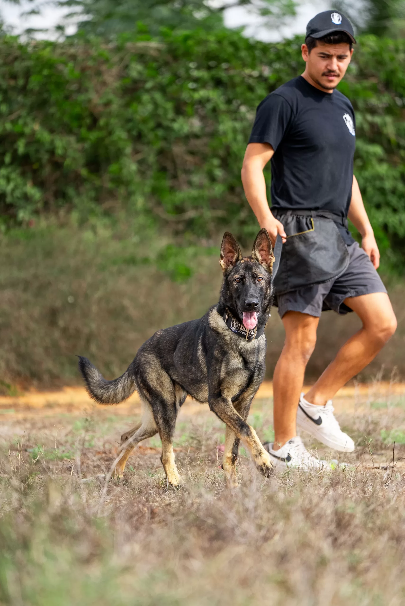 Israel Protection dog trainer with dog