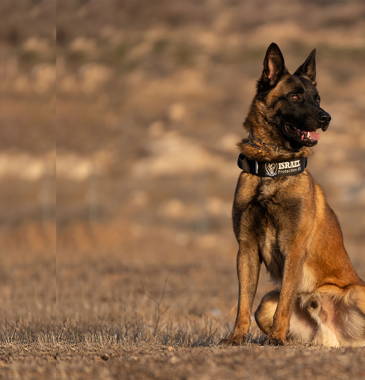 Axel