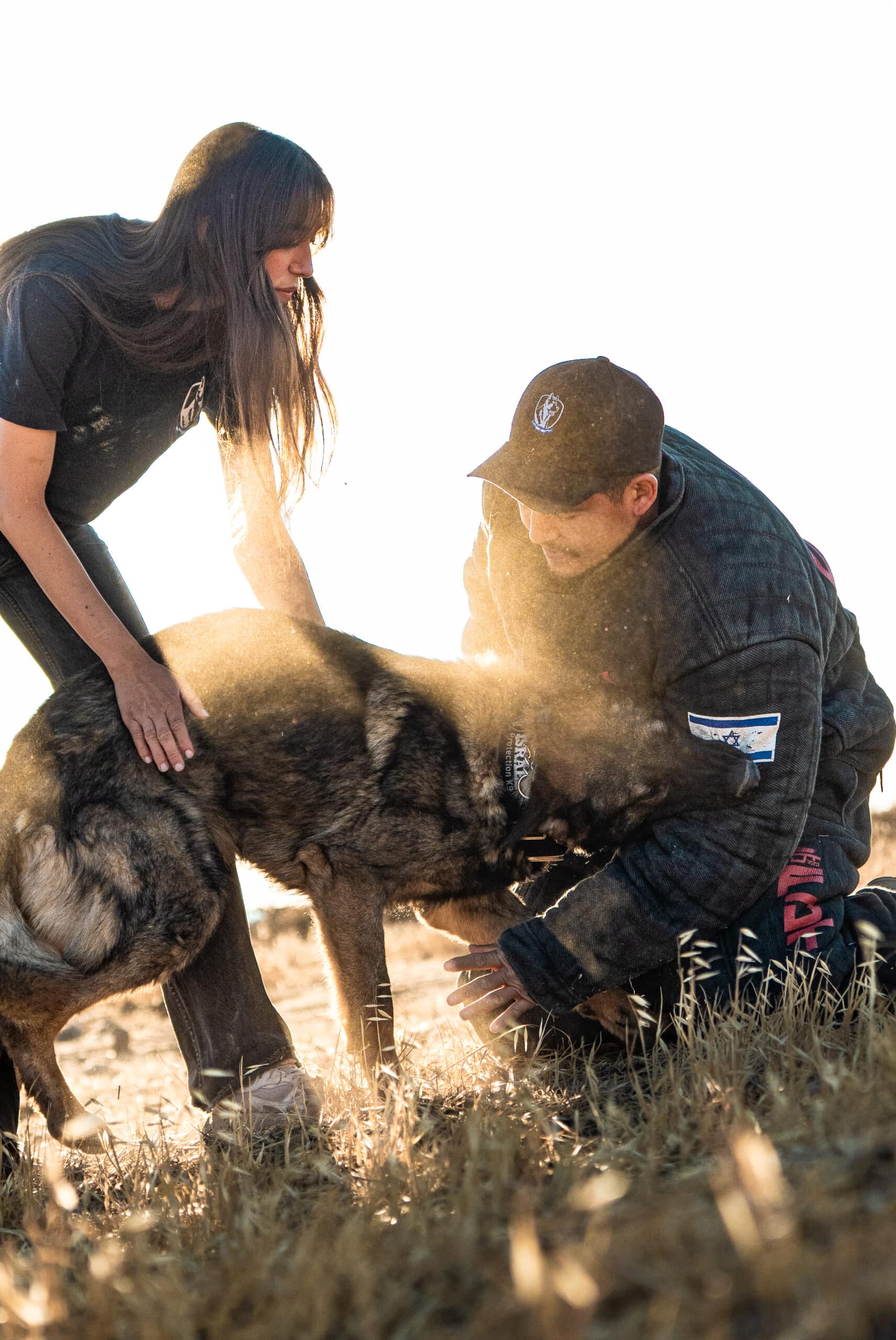german shepherd with its two handlers