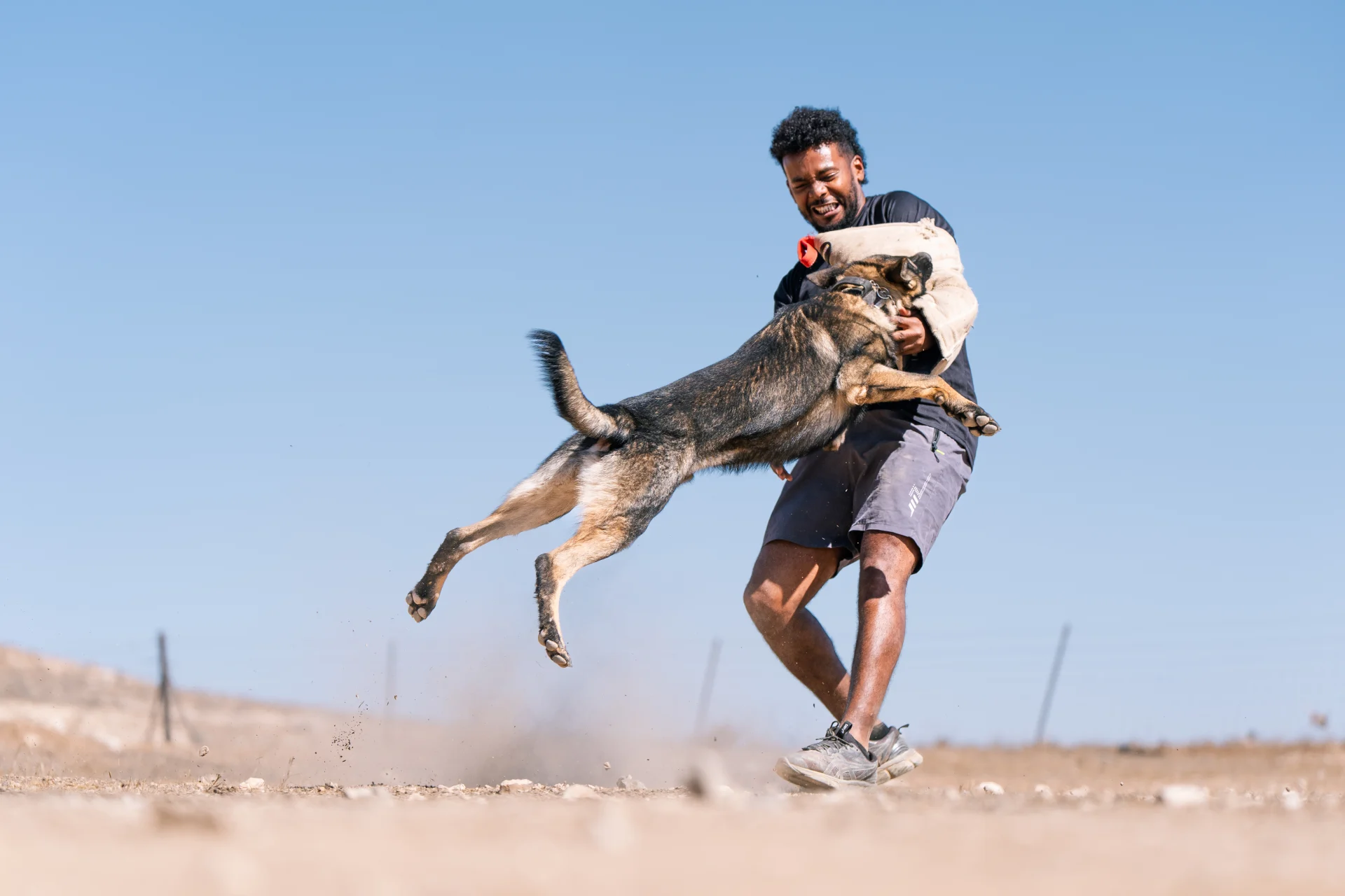Trained protection dog leaping into arms of handler during Israel Protection K9 training.