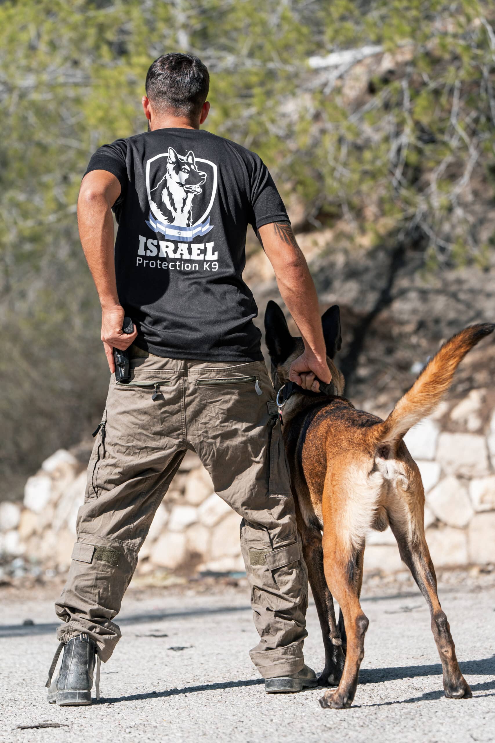 German Shepherd protection guard standing guard near its handler.