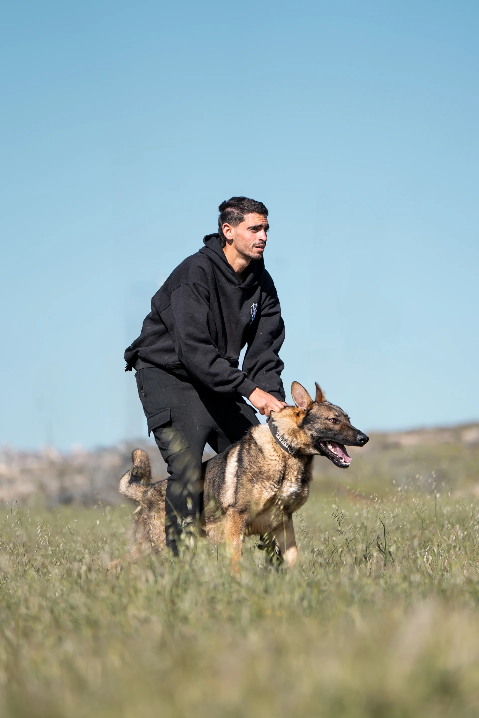 Trained German Shepherd and handler during protection dog scenario-based training.
