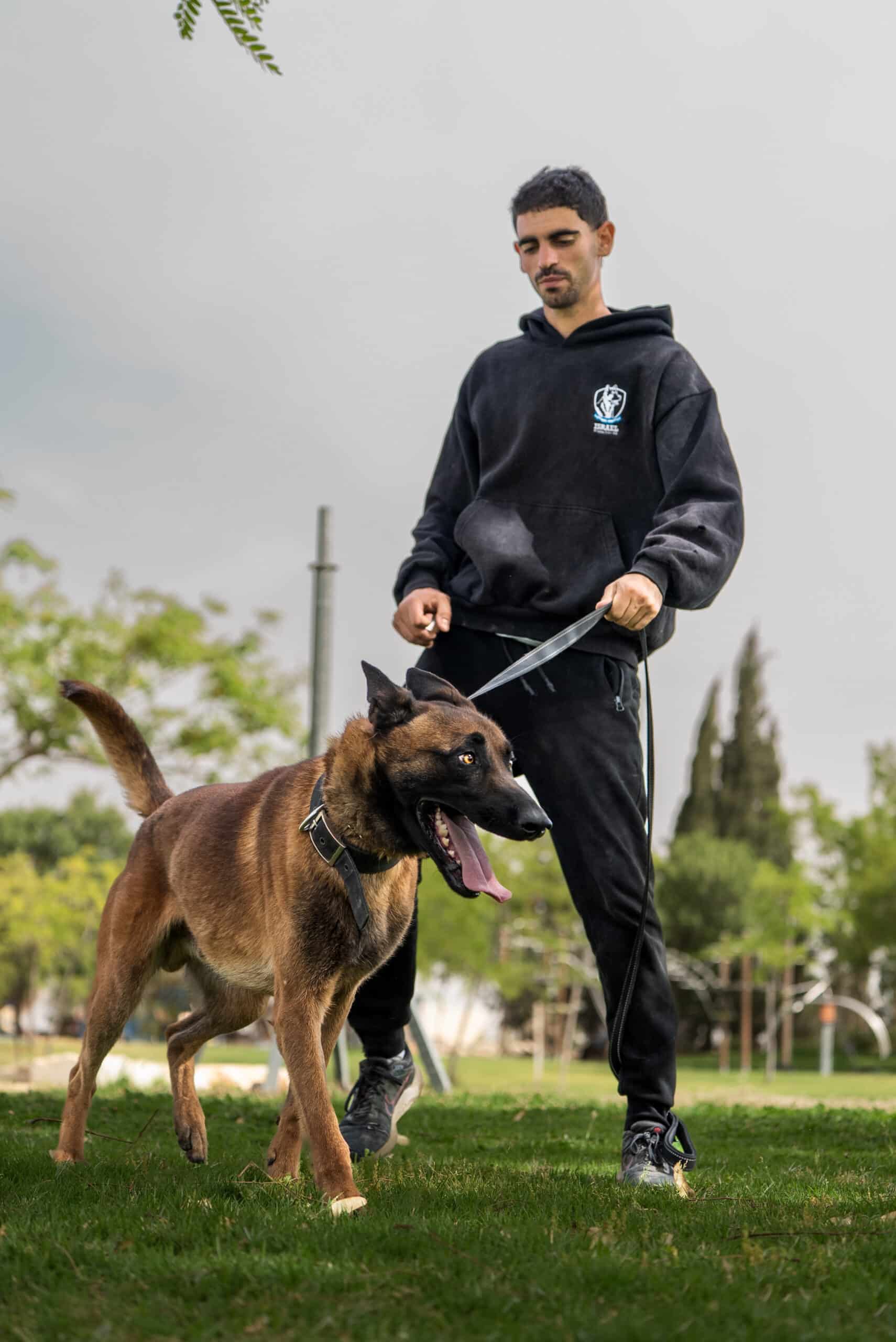 A guard dog running in front of its handler