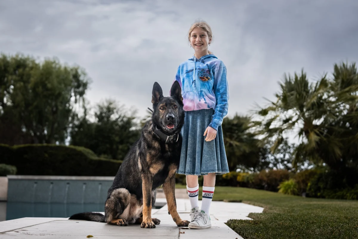 Young girl and German Shepherd protection dog, demonstrating family safety and companionship.