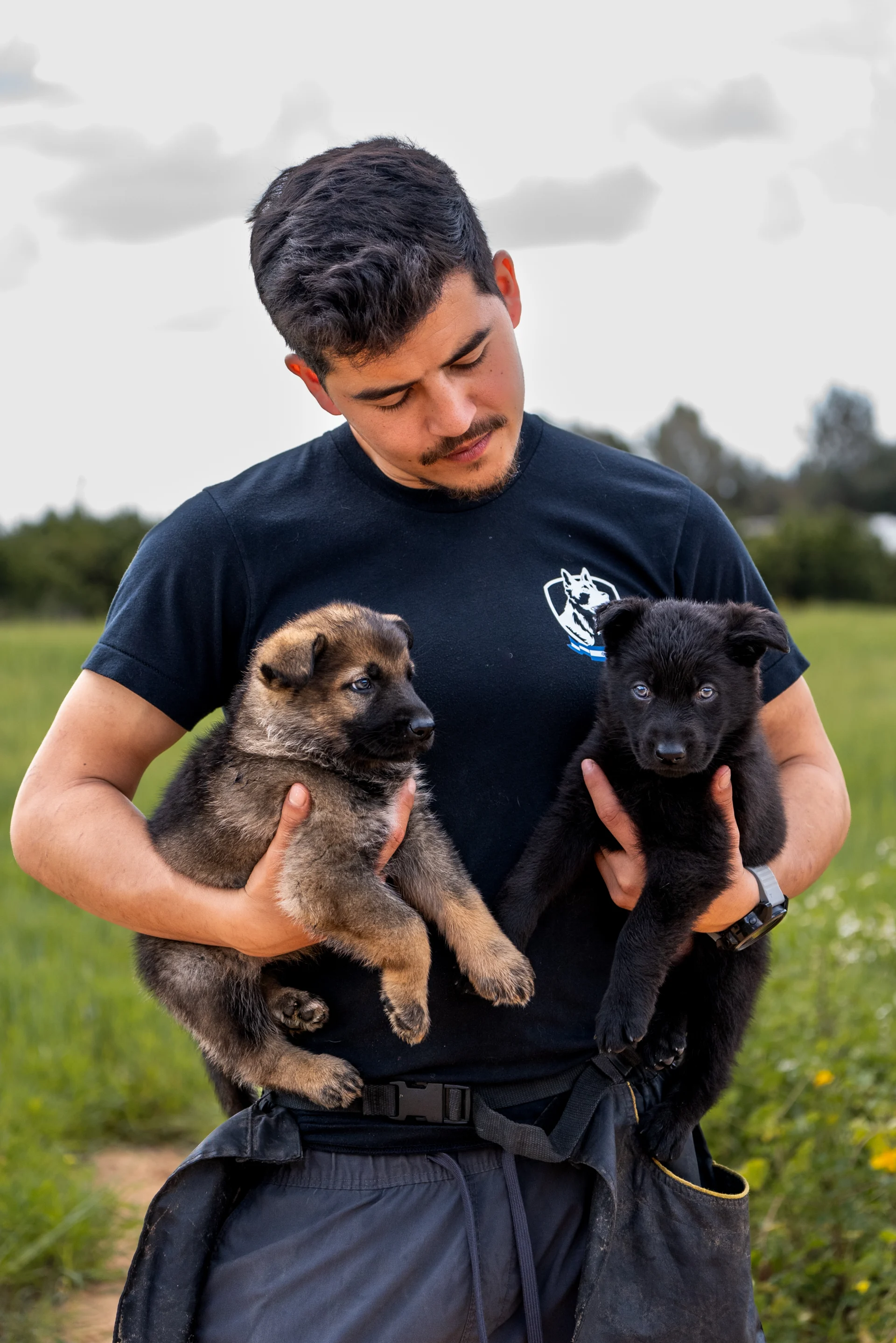 Man holding two German Shepherd puppies illustrating responsible breeding for protection dogs.