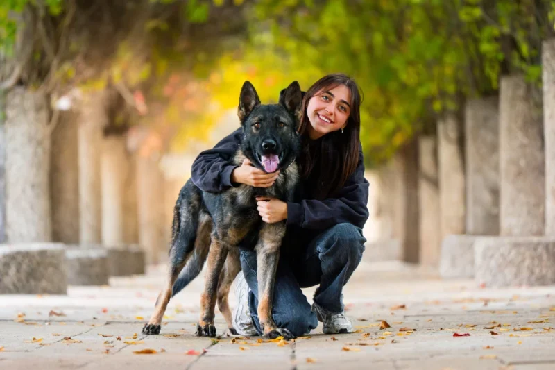 Young woman embracing a calm German Shepherd protection dog, family integration and reliable behavior.